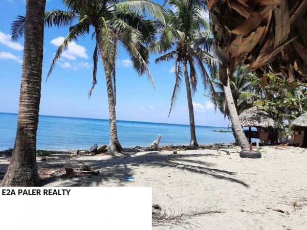 Beach Lot for Sale ( Tapel Oas Albay )