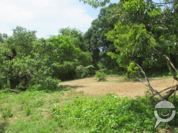 Farm Lot 1 Hectare Subic Castillejos Zambales SBMA Poultry Piggery