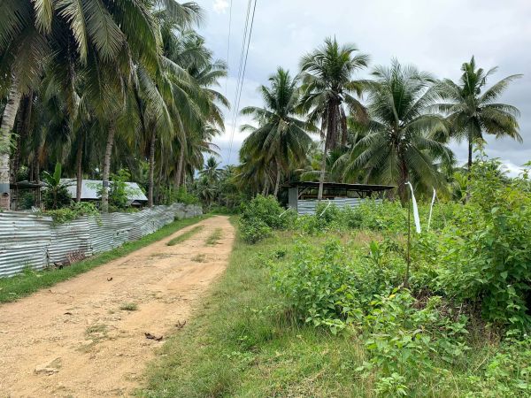 200 sq.m affordable lot fatima, cortes bohol 250k dp 36 months to pay