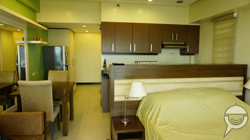 Fully Furnished Studio Unit in Two Serendra Aston