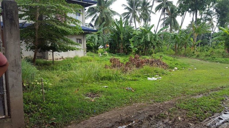 Residential Lot Located At Inayagan Naga, Cebu Near Highway