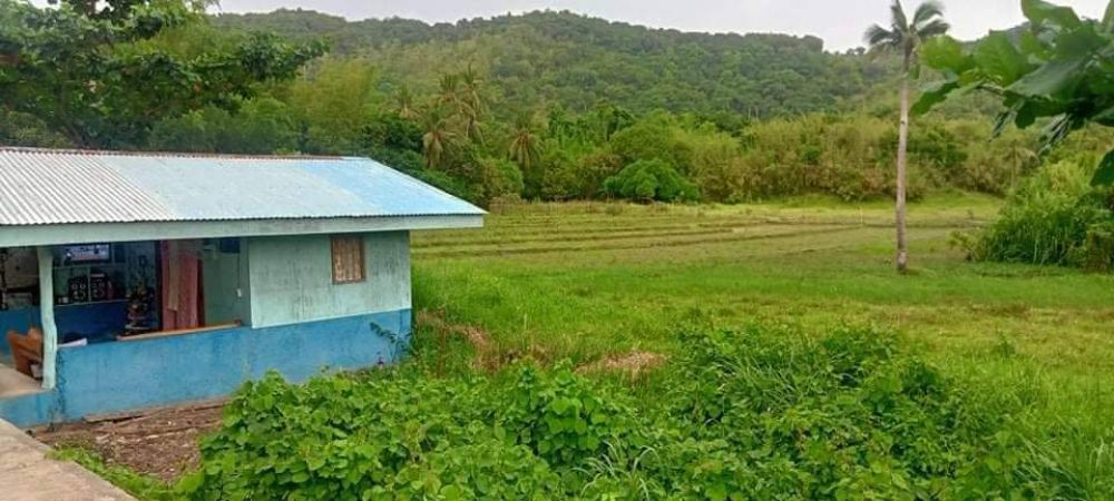 Poultry Farm FOR SALE (Busuanga, Palawan)