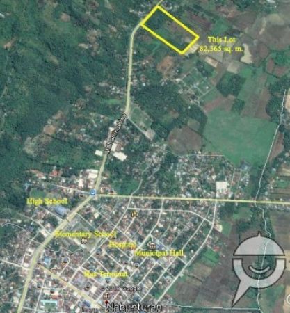 82365 sqm land along Maharlika Highway, Nabunturan, Compostela Valley