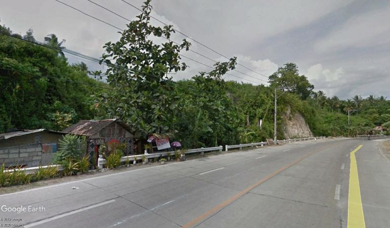 Commercial Lot for Sale in San Fernando, Cebu