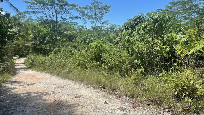 Agricultural Land For Sale! Near Tourist Spots