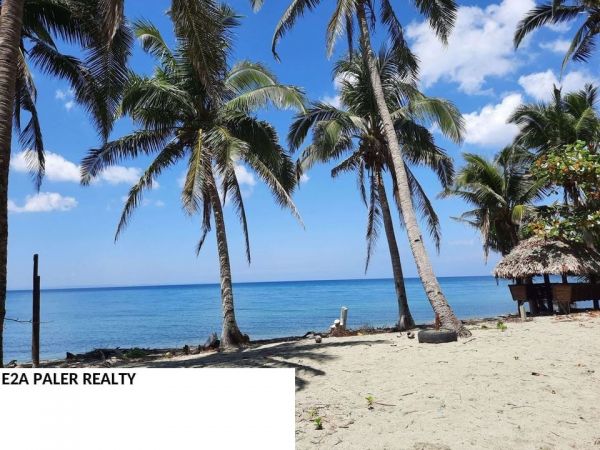 Beach Lot for Sale ( Tapel Oas Albay )