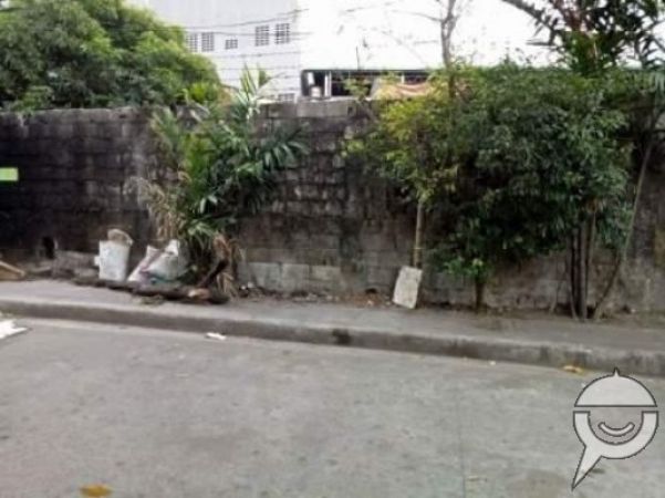 for sale 10,123 Vacant Commercial Industrial Lot Mayapa Sqm Laguna