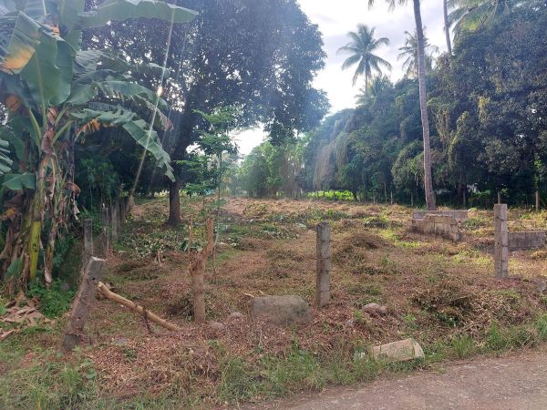 For Sale: 2,159 sqm Residential Lot In Digos City, Davao del Sur