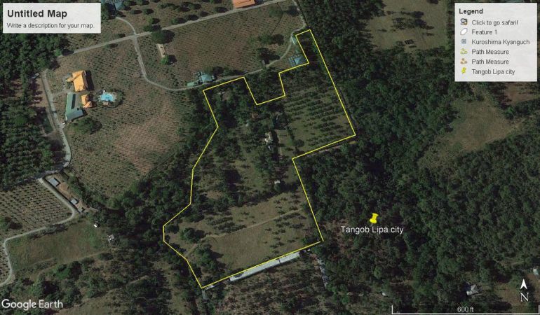 Farm Lot for sale Purok 7, Barangay Tangob Lipa City