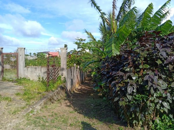 2,080 sqm Lot for Sale at Tagaytay near Crisanto delos Reyes Avenue