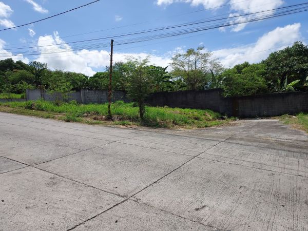 Residential Corner Lot (249 sqm) at Eastborough Place Subdivision, Angono, Rizal