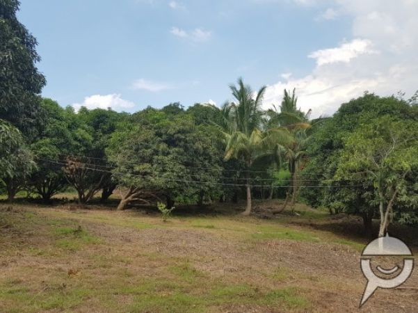 Farm for sale batangas