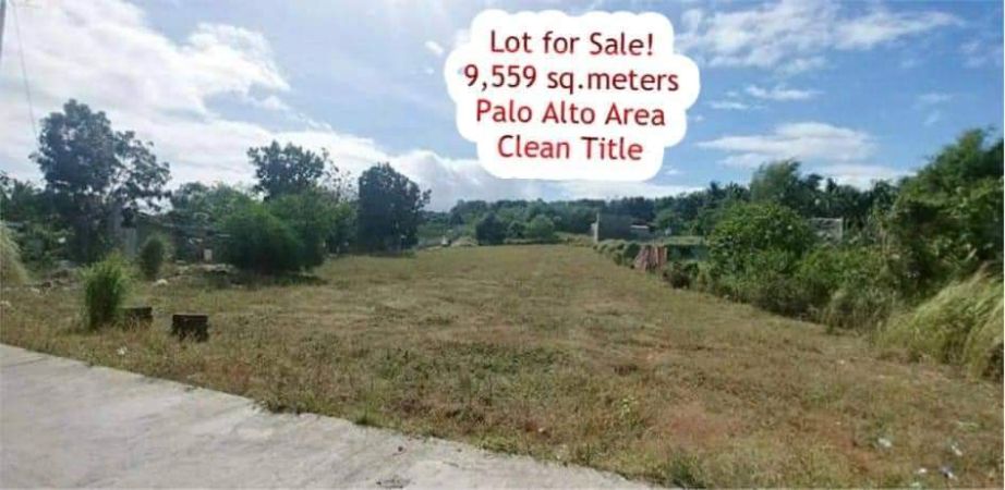 Lot for Sale at Palo Alto Calamba