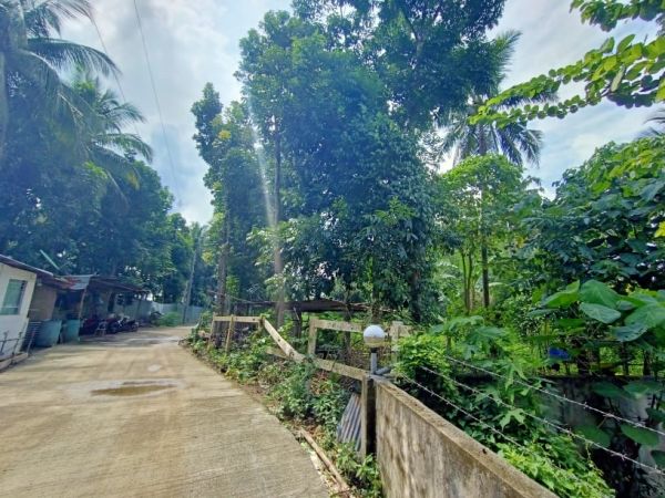 Farm Lot for sale Purok 7, Barangay Tangob Lipa City