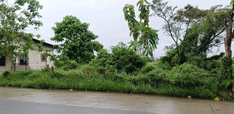 Lot for Sale in Poblacion, Sierra Bullones, Bohol (Commercial/Residential)