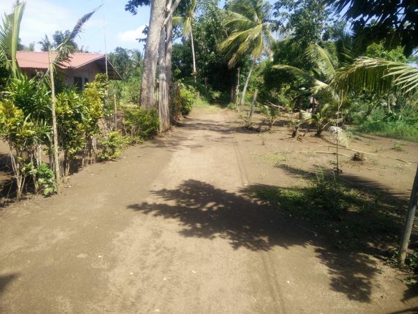 Lot For Sale, Calapan City Oriental Mindoro