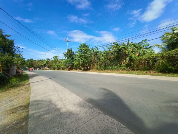 Farm lot for sale in Conchu, Trece Martires, Cavite