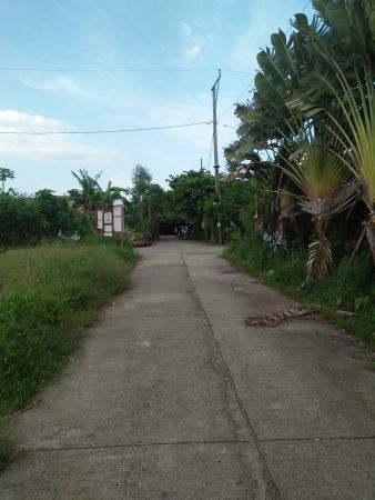 100 SQM Vacant Lot Aztec Homes Subdivision (Looc Calamba, City)