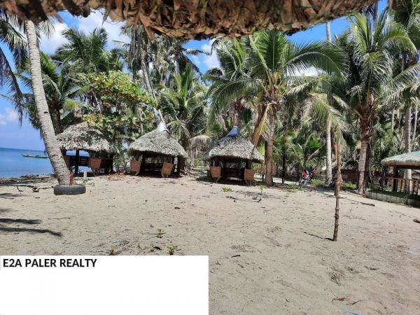 Beach Lot for Sale ( Tapel Oas Albay )