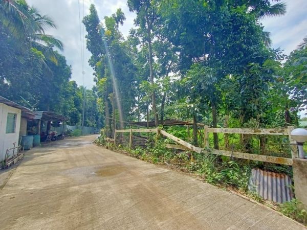 Farm Lot for sale Purok 7, Barangay Tangob Lipa City