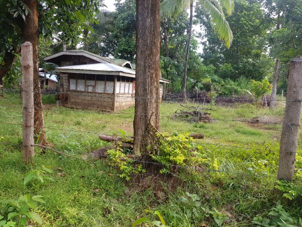 House and lot for sale peacful Narra Palawan Philippines