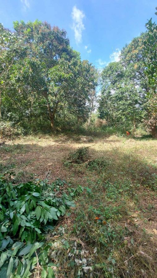 For Sale! 3 Hectares Corner Lot with Clean Title in Maybancal, Morong ...