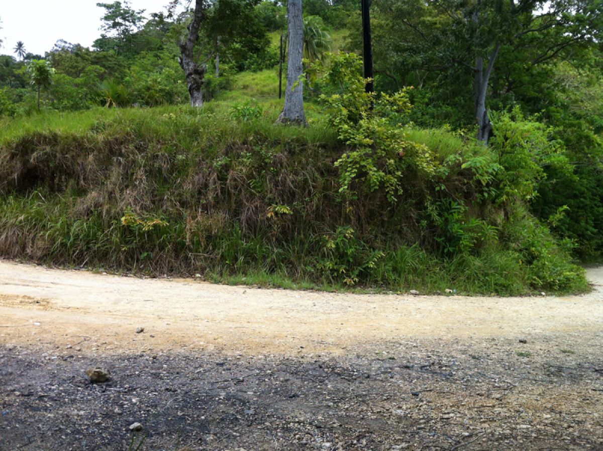 residential-lot-in-kalunasan-lahug-cebu-city