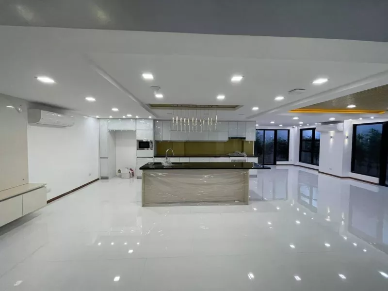 2 Storey with 4 Bedroom Hoiuse and Lot For Sale in Paranaque-AP