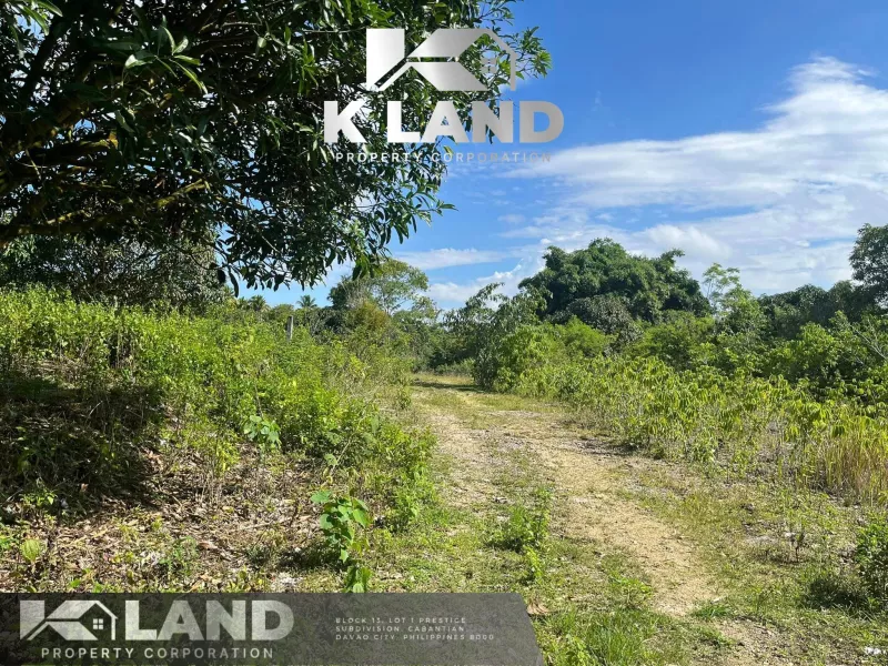 Paradise Found: Unveil the Beauty of Kaputian, Samal Island with this Spectacula