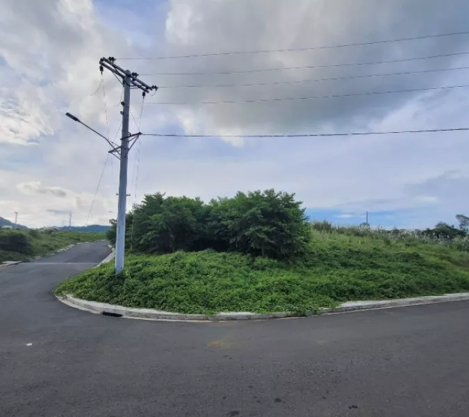 Tagaytay Highlands Plantation Hills 1825sqm Corner Lot at 63M Negotiable