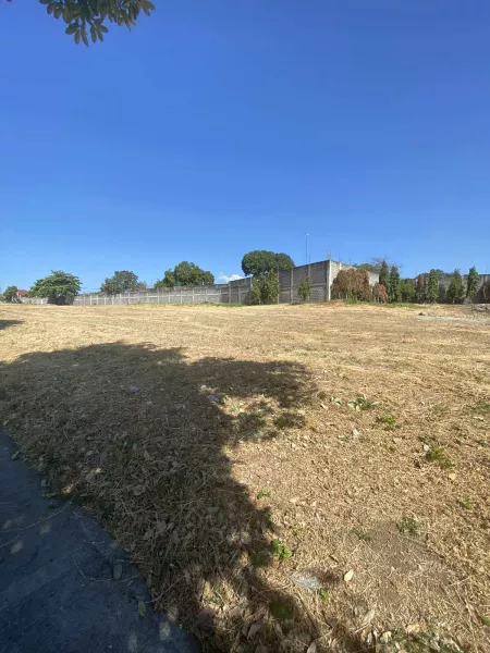 304 sqm Residential Lot for sale in Almanza Dos Las Pinas (Alabang West Village)