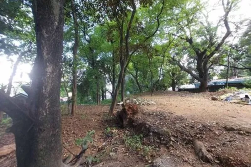 Industrial/Commercial/Residential Lot for Rent at Tikling, Taytay Rizal