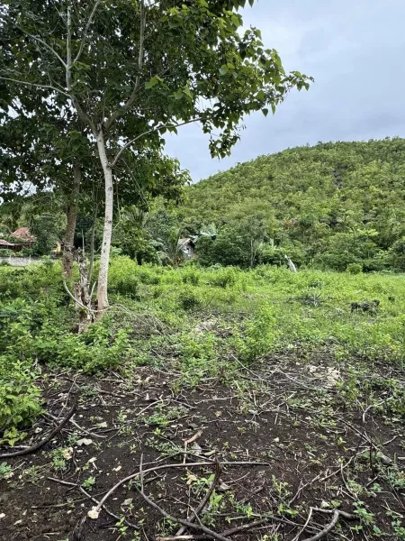 LOT FOR SALE @ Bool Tagbilaran Near at BANAT-E