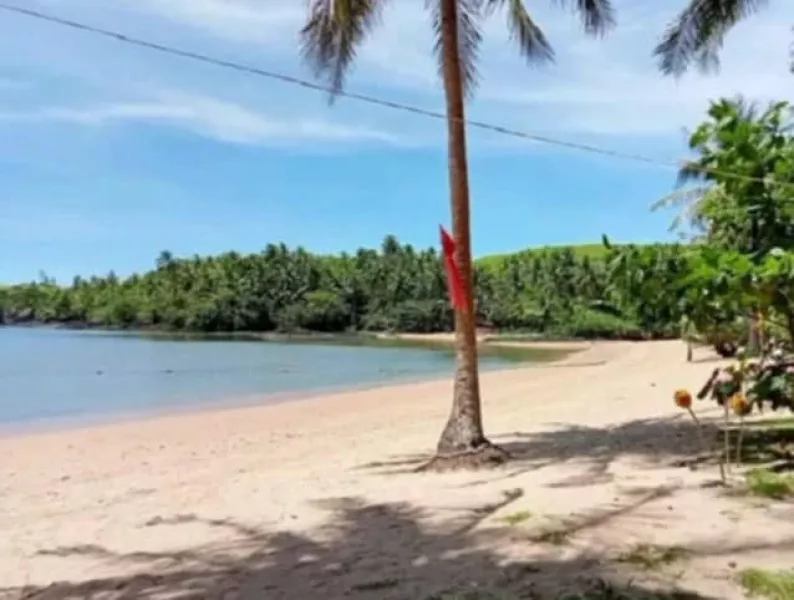 Beach lot property for Sale in Camarines Sur