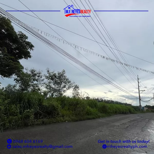1 Hectare Lot for Sale!