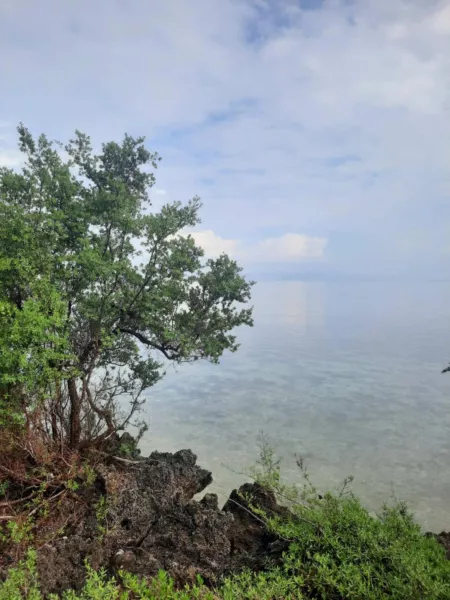 2-hectare Beachlot for Sale in Siquijor, Siquijor near Siquijor Airport