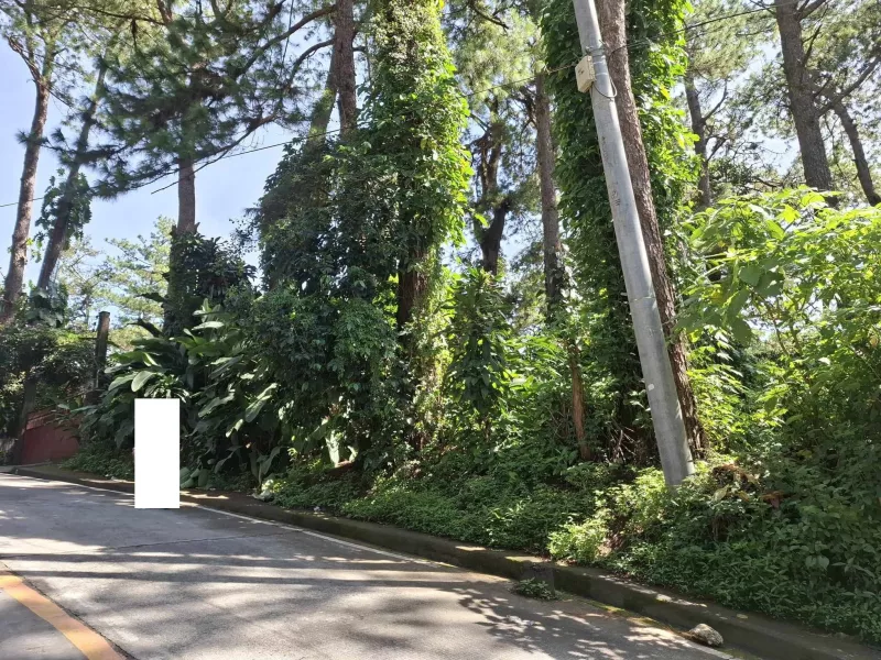 768 Square Meters in Amparo Heights, Camp 7, Baguio City