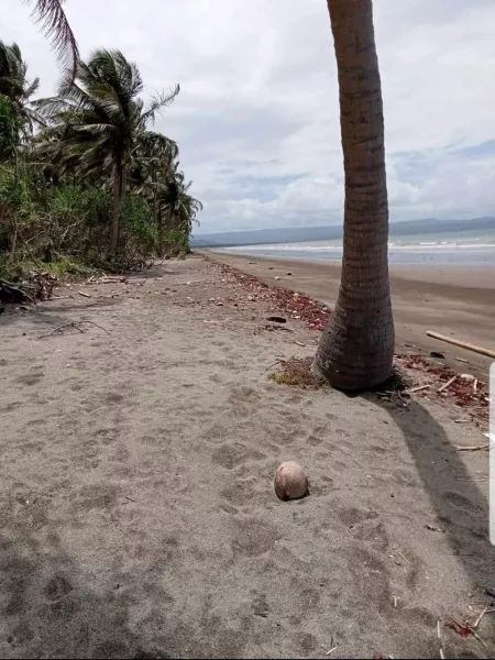 Beach Property good for Investment for Sale in Quezon Province