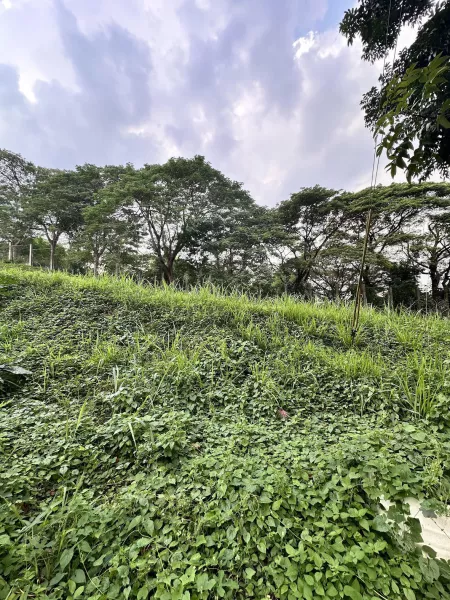 BB - FOR SALE: 459 SQM Residential Lot in Manila Southwoods Residential Estates,