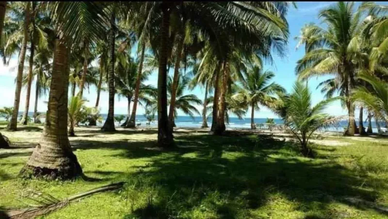 Pacifico San Isidro Beach Lot 4000sqm Beachfront Titled Siargao Island