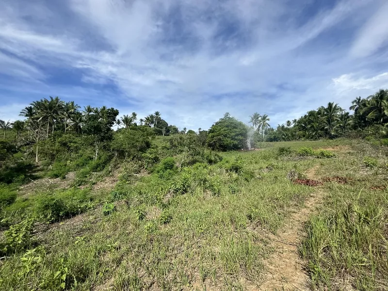 Affordable Farm Lot for Sale