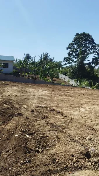 BIG Lot in Bgy. Bucal Amadeo, Cavite for SALE! 8,000 sqm at P3,500 per sqm