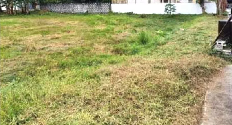 Residential Lot for Sale Imus Cavite near Aguinaldo Hway Pallas Athena Classique