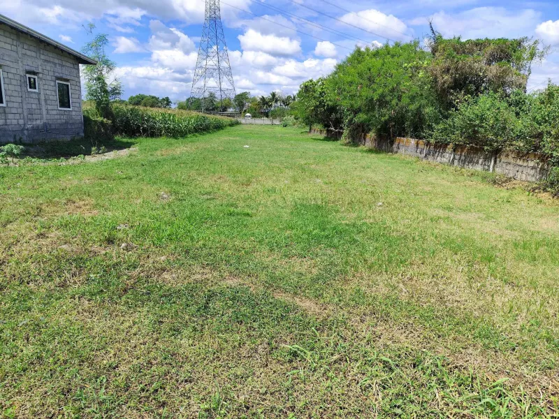 Residential Lot 1,865 sqm, clean title in San Vicente Concepcion, Tarlac