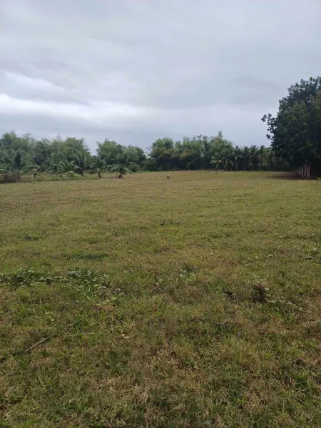 Commercial/Residential Lot For Sale near Beach in Daanbantayan Cebu - JSN