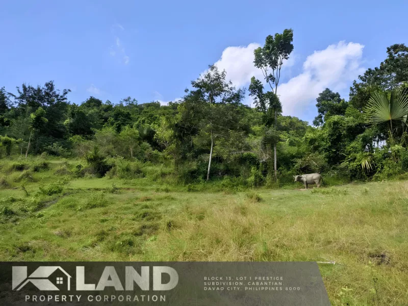 Prime Agricultural Paradise: Your Gateway to Sustainable Living in Cebu City