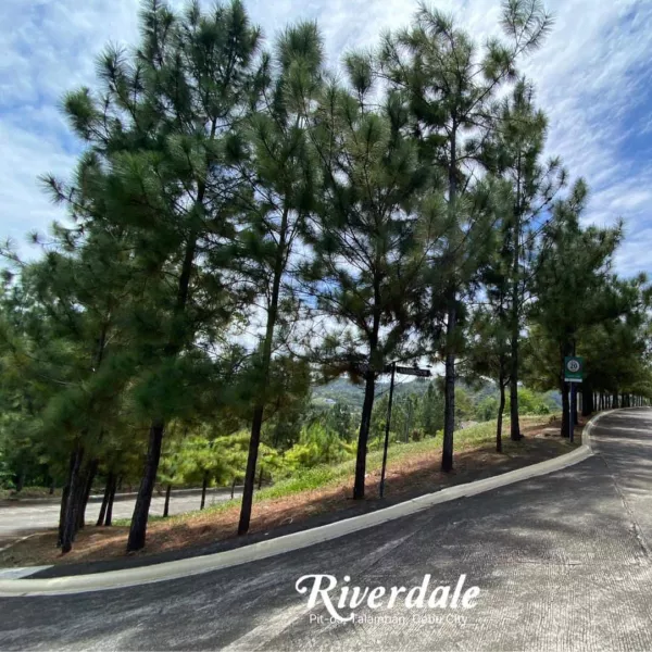 CHEAPEST RESIDENTIAL LOT IN CEBU CITY