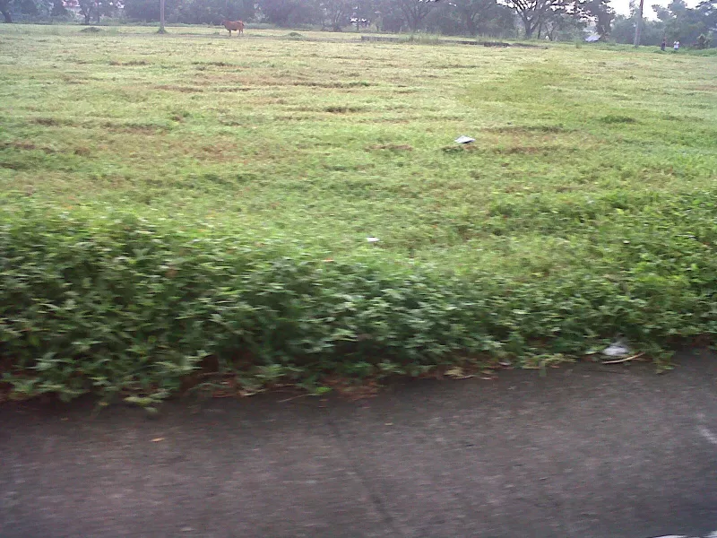 Residential Lot for Sale at General Trias City Cavite near Governors drive