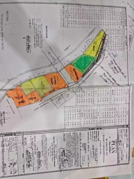 2142sqm along Multinational going C5 near Puregold and SNR Paranaque City