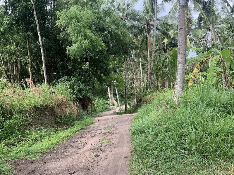 LOT FOR SALE IN DAUIN